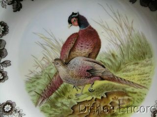 Spode Woodland Pheasant Game Bird,  England: Dinner Plate,  10 3/4 