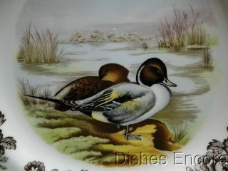 Spode Woodland Pintail Game Bird,  England: Dinner Plate (s),  10 3/4 