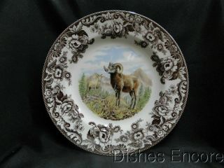 Spode Woodland Bighorn Sheep,  England: Dinner Plate (s) 10 3/4 ",  Box