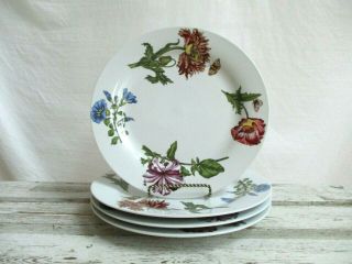 (4) Bia Cordon Bleu " Caroline " Dinner Plates Flowers 10.  5 " Ceramic