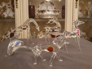 Vintage Murano Art Glass Clear Crystal Hand Blown Glass Managerie 5 Piece Set