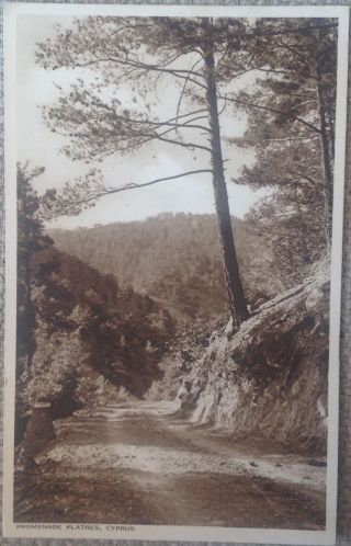 Cyprus 1954 " Promenade Platres " Rare Edwards Studio Postcard