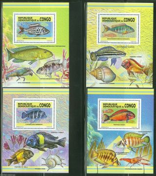 Congo 2013 Fish Part I Set Of Four Deluxe Souvenir Sheets Nh