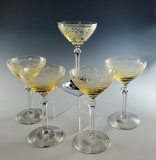 5 Fostoria June Topaz And Crystal 3 Oz.  Liquor Cocktail Goblets1929 - 36 Exquisite