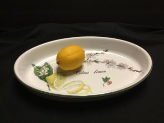 Apilco Porcelain Serving Bowl / Baking Dish / Elysian Gardens / France
