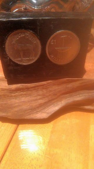 Irish Punt Coins Set In Bog Oak