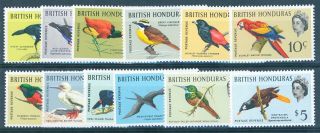 British Honduras 1962 Birds Set Of 12 Mnh Sg 202/213 Cat £85