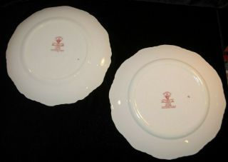 Mason ' s Vista Pink Ironstone Vintage Transferware Dinner Plates - 2 2