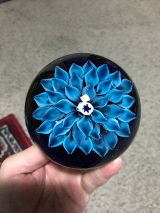 Vintage Art Glass Paperweight,  Blue Flower & Cobalt Blue Base,  Hand Blown 3 1/2