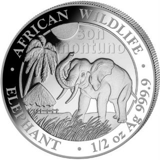 2017 Somalia Silver Elephant - 1/2 Oz Coin In Capsule African Wildlife.  9999 Bu