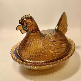 Indiana Gold Carnival Hen On Nest 2