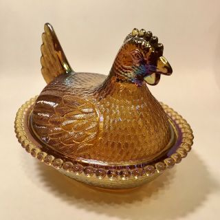 Indiana Gold Carnival Hen On Nest 3