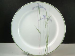 Corelle Corning Shadow Iris 10 1/4 " Dinner Plate