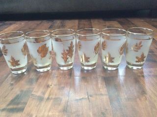 Vtg Set Of 6 Libbey Frosted Gold Leaf Iced Tea Or Water Drink Glasses