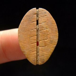 A Bone Cowry (shell Money) - Shang Dynasty (1766bc - 1122bc) 103