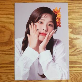 Seulgi A4 Size Official Poster Only Red Velvet 2019 Season 