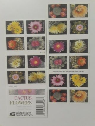 200 Usps Forever Postage Stamps - Cactus Flowers (10 Books Of 20)