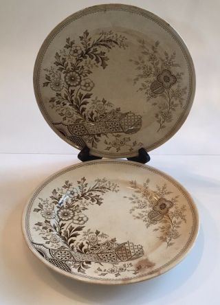 2 Antique Hampden Brown Transferware Plates Aesthetic Movement 1880s England