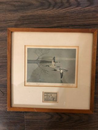 1956 Signed Federal Duck Stamp Print Signed By Edward J Bierly