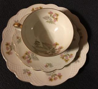 Vintage Zeh Scherzer,  Bavaria,  Germany,  Fine Porcelain 3 Piece Tea Set,