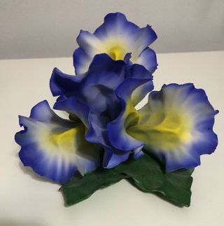 Fabar Capodimonte Artistiche Porcelain Flower Bearded Iris Purple & Yellow Italy