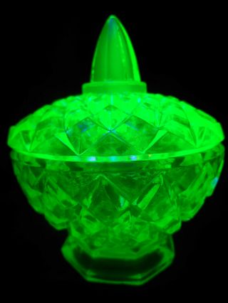 neon Green Vaseline glass Candy dish uranium coffee sugar bowl yellow canary art 2