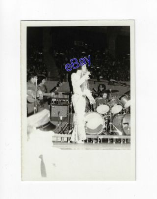 Elvis Presley Concert Photo - King Of Spades 1974 - Jim Curtin Vintage