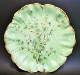 Antique Limoges T&v France Cabinet Plate Porcelain Green Pine Cones