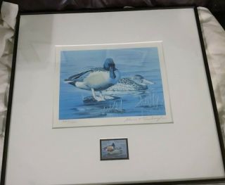 1991 - 1992 Maryland Migratory Waterfowl Stamp & Signed Print - David Turnbaugh