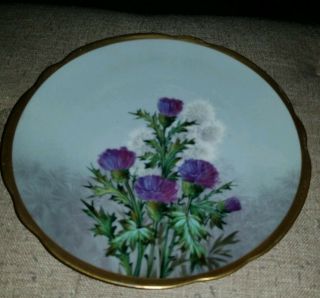 Limoges Gd&co Avenir Hand Painted Plate W Gold Trim And Purple Nettles