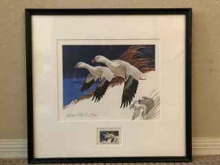 Rw44 1977 Federal Duck Stamp Print Ross Geese By Martin Murk Remarqued