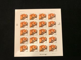 Scott 3036,  $1,  Stamp Red Fox Sheet Of 20 Mnh Og Very Scarce High Value