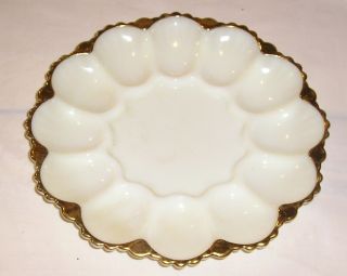 Vintage 10 " White Milk Glass Deviled Egg / Oyster Plate - Gold Edge