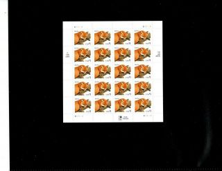 Us Sheet Scott 3036,  $1 Stamp Red Fox Sheet Of 20 Mnh Og Very Scarce