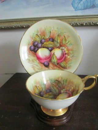 Aynsley England Tea Cup And Saucer Orchard Fruit Signed D.  Jones Creamy Gold