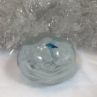Vintage Gorgeous Designs China White With Blue Bird Art Glass Paperweight 2