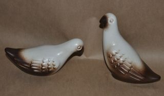 Vintage Mid Century Howard Pierce Porcelain Dove Pigeon Figurines 2 Cream Brown