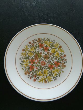 2 Corelle Indian Summer Dinner Plates 10 In
