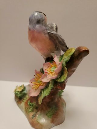 Vintage CROWN STAFFORDSHIRE Bird Figurine Flowers Bone China,  J.  T.  Jones England 3