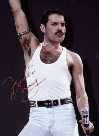 " Freddie Mercury " - Queen - Signed 8 X 10 Photo Reprint