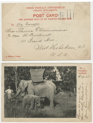 75.  Rare Postcard Malaysia Transport Elephant Stamp Cancel Penang - Nj 1905