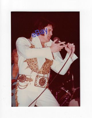 Elvis Presley Concert Photo - Classic Pose 1977 - Jim Curtin Bob Heis