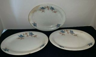 (set Of 3) Vintage W S George Bluebird 9 " Oval Platters