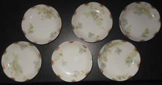 6 Antique French Haviland Butter Pats,  Violets And Fern Pattern,  Gold Accents