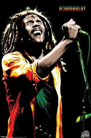 Bob Marley Feeling It Live 22x34 Music Poster Reggae New/rolled