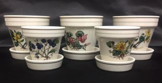 Villeroy & Boch Set Of 5 Herb Seed Pots With Saucers Luxembourg