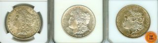 1878 Rev.  79,  1882 - S & 1889 Morgan Silver Dollar Ngc Ms62 & Choice Extra Fine