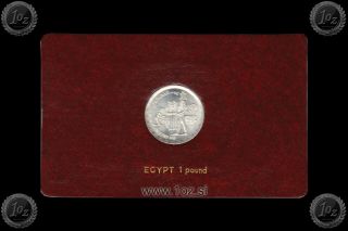 Fao / Egypt 1 Pound 1981 (f.  A.  O. ) Silver Commemorative Coin Coincard