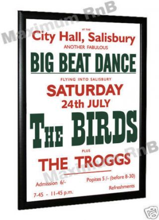 The Birds Troggs Ron Wood Concert Poster Salisbury 1965