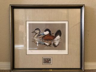 Rw - 48 Federal Duck Stamp Print Ruddy Ducks By John Wilson